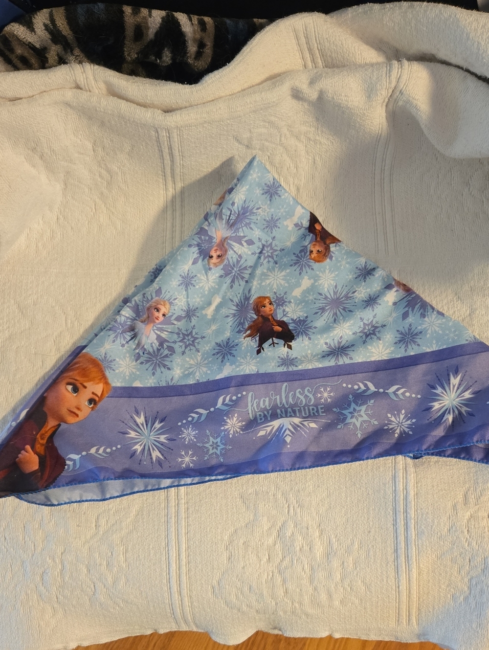Disney Frozen Bandana